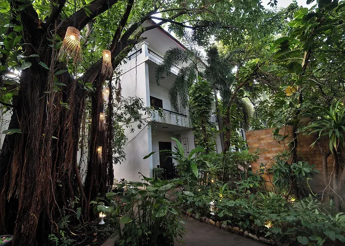 The Moon & 4* Siem Reap